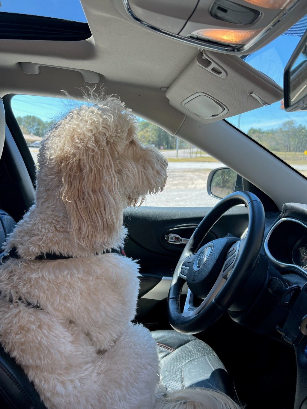 “We think that we are truly free when we write about total because we are&nbsp;funny.”